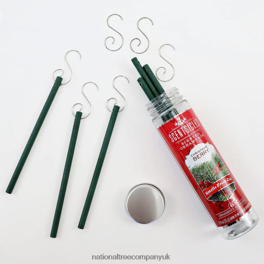 decoration | National Tree Company Scented Ornaments 2-Pack- 6ct Bottle Christmas Berry Fragrance-Infused Paper Sticks F2L4F549